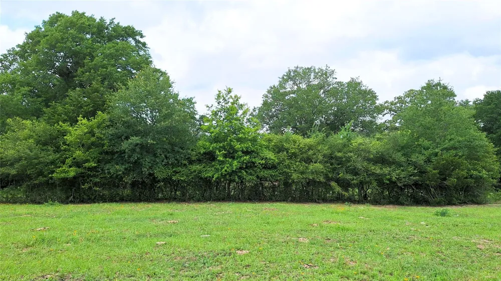 18155 Wellmann Road Washington, TX 77880