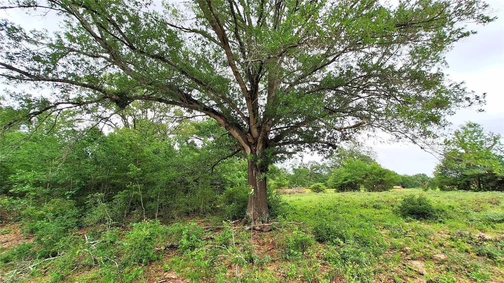 18155 Wellmann Road Washington, TX 77880