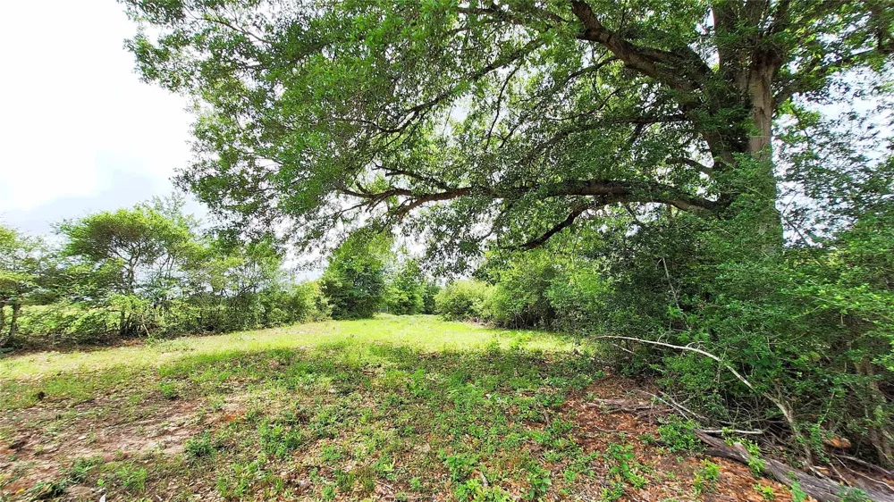 18155 Wellmann Road Washington, TX 77880