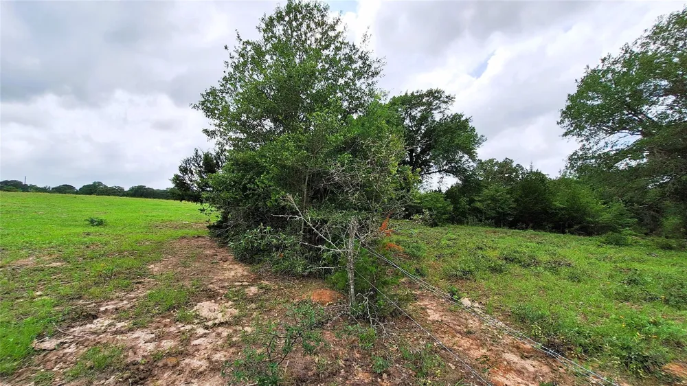 18155 Wellmann Road Washington, TX 77880