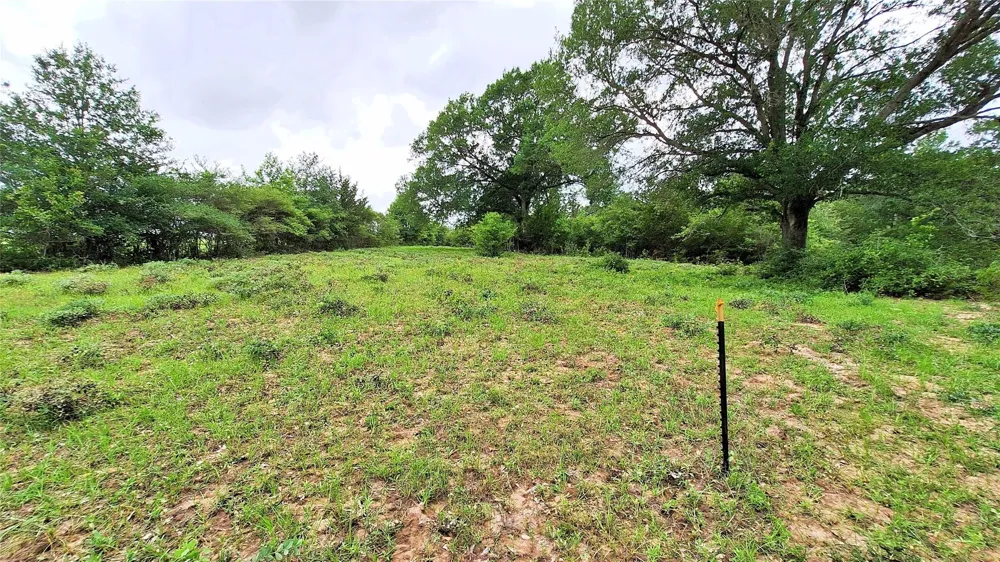 18155 Wellmann Road Washington, TX 77880