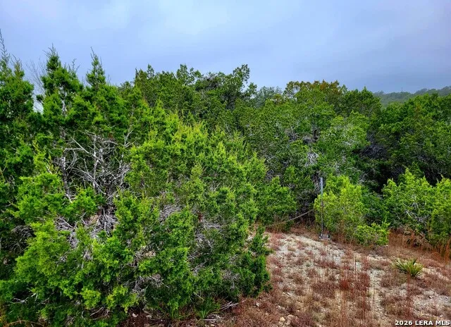 193 Appaloosa Dr Fischer, TX 78623