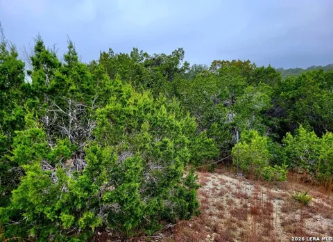 193 Appaloosa Dr