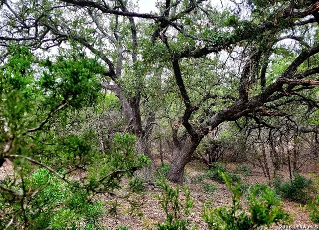 193 Appaloosa Dr Fischer, TX 78623
