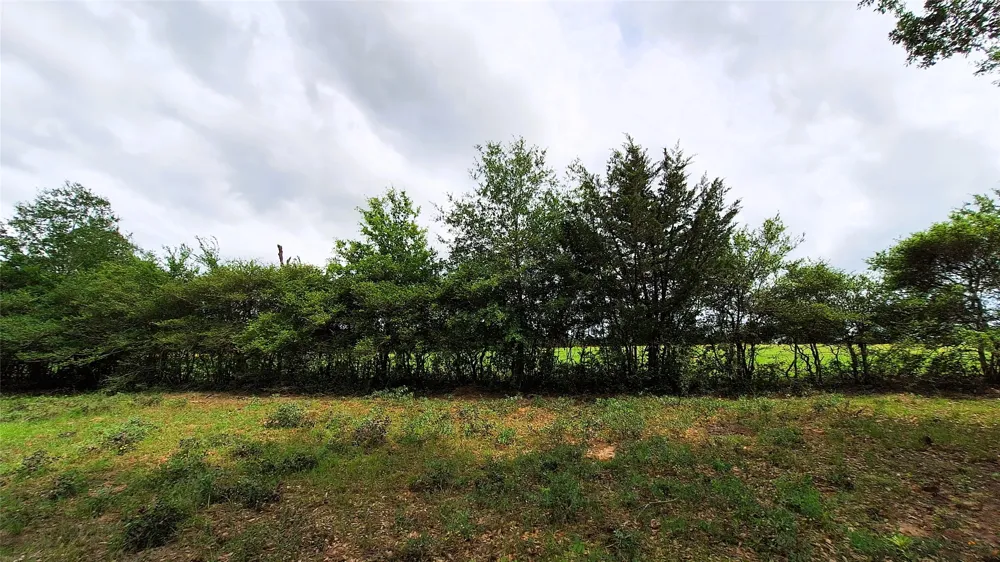 18155 Wellmann Road Washington, TX 77880