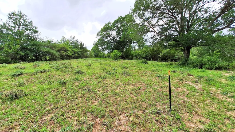 18155 Wellmann Road Washington, TX 77880