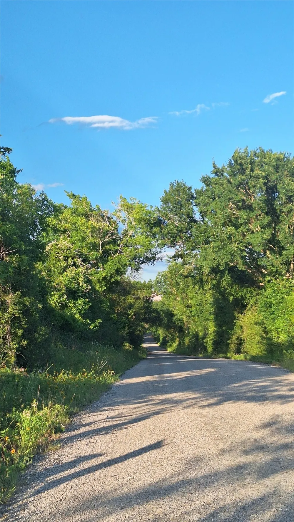 18155 Wellmann Road Washington, TX 77880