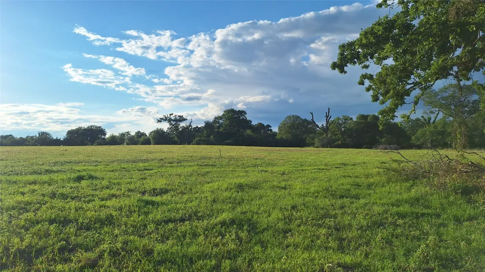 18155 Wellmann Road Washington, TX 77880