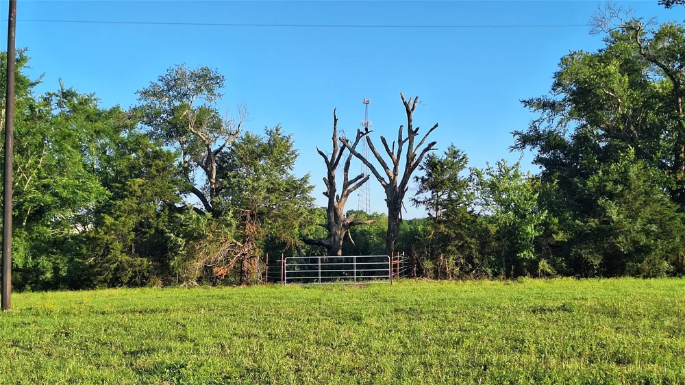 18155 Wellmann Road Washington, TX 77880