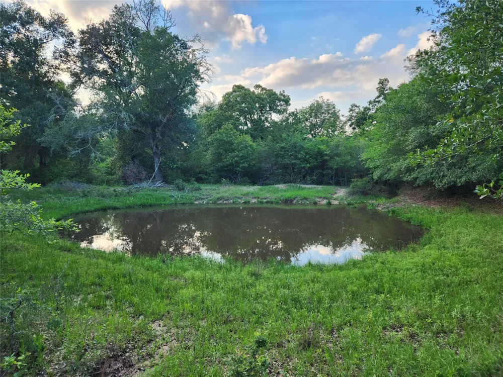 18155 Wellmann Road Washington, TX 77880