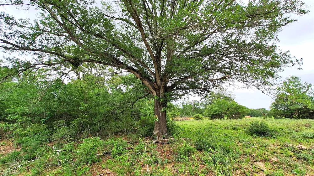 18155 Wellmann Road Washington, TX 77880