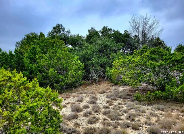 171 Appaloosa Dr Fischer, TX 78623