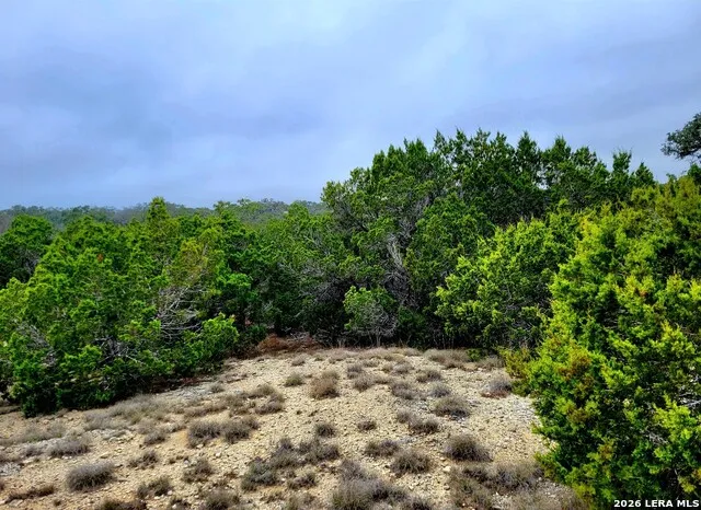 171 Appaloosa Dr Fischer, TX 78623