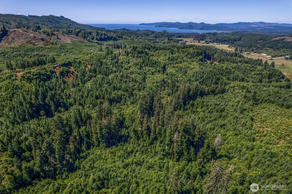 1 Eden Valley Road Rosburg, WA 98643