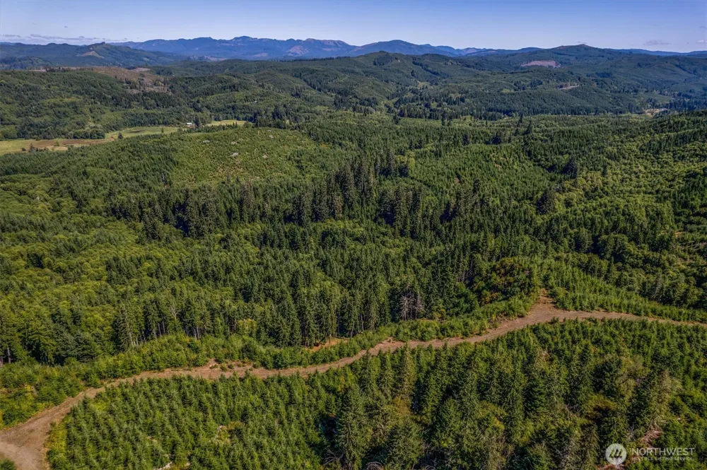 1 Eden Valley Road Rosburg, WA 98643