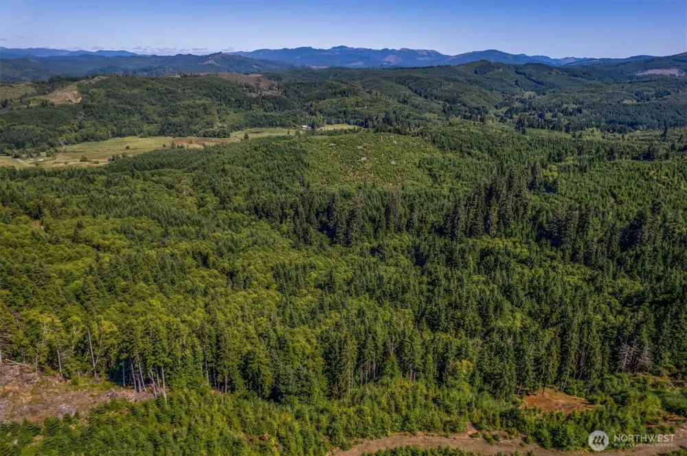 1 Eden Valley Road Rosburg, WA 98643