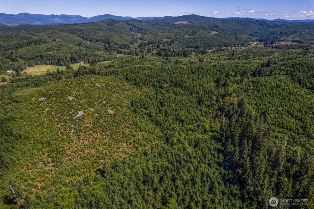 1 Eden Valley Road Rosburg, WA 98643