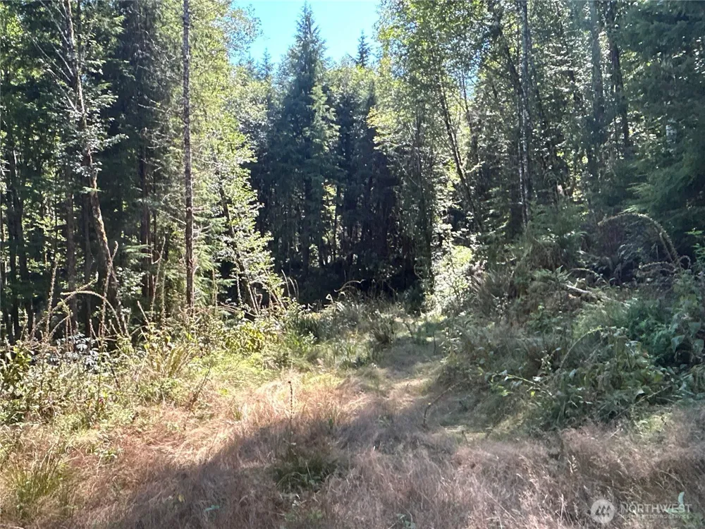 1 Eden Valley Road Rosburg, WA 98643