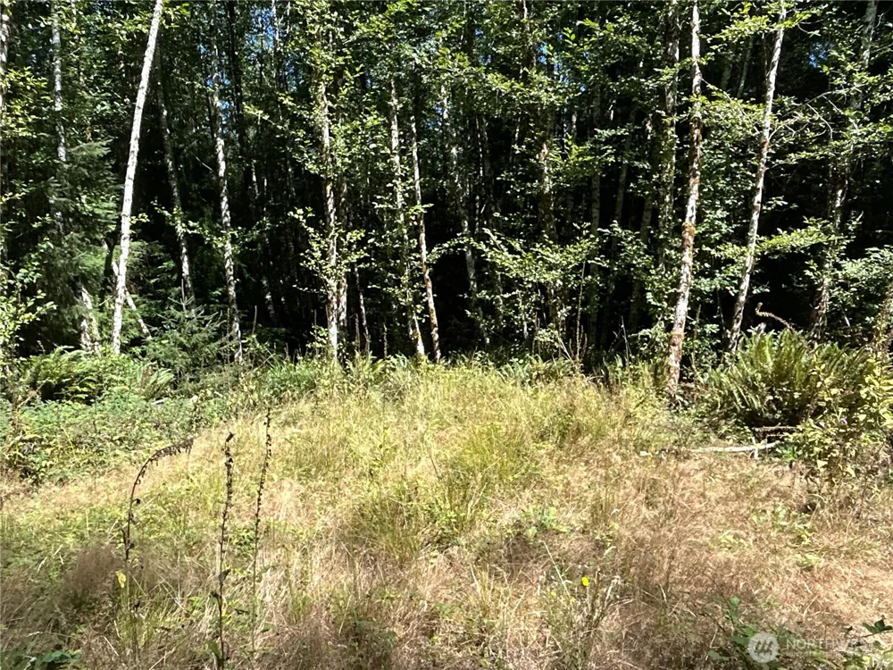 1 Eden Valley Road Rosburg, WA 98643