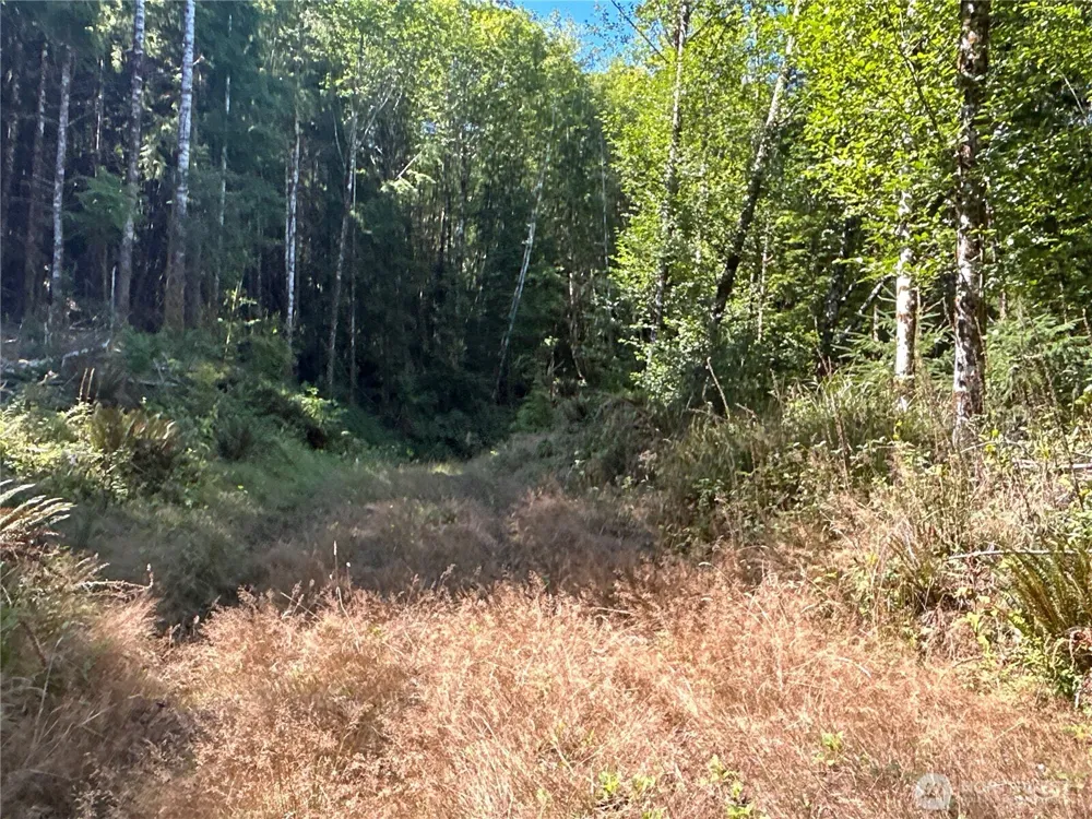 1 Eden Valley Road Rosburg, WA 98643