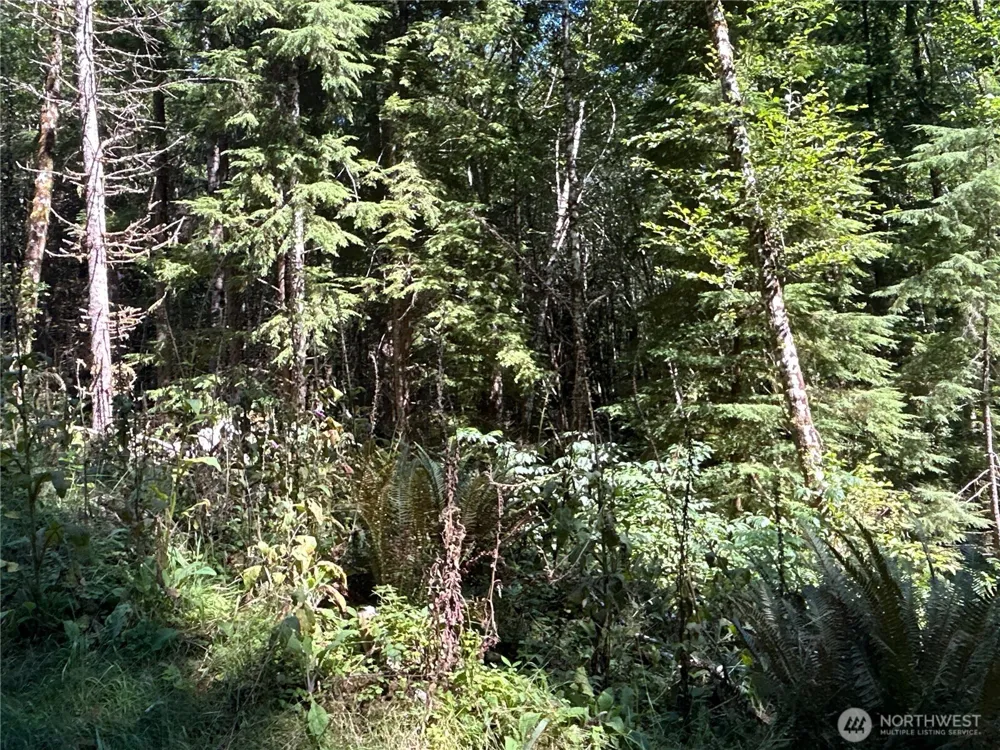 1 Eden Valley Road Rosburg, WA 98643