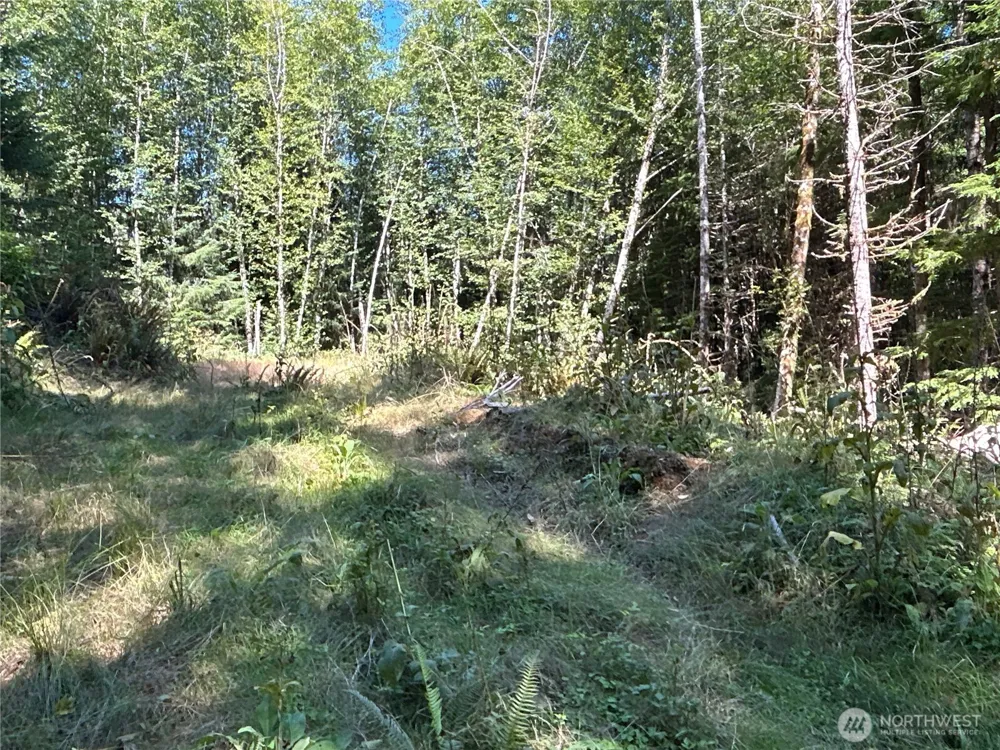 1 Eden Valley Road Rosburg, WA 98643