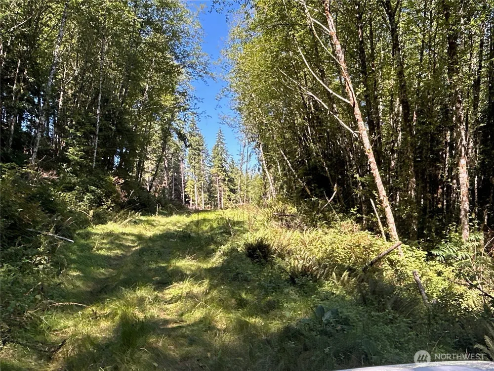 1 Eden Valley Road Rosburg, WA 98643