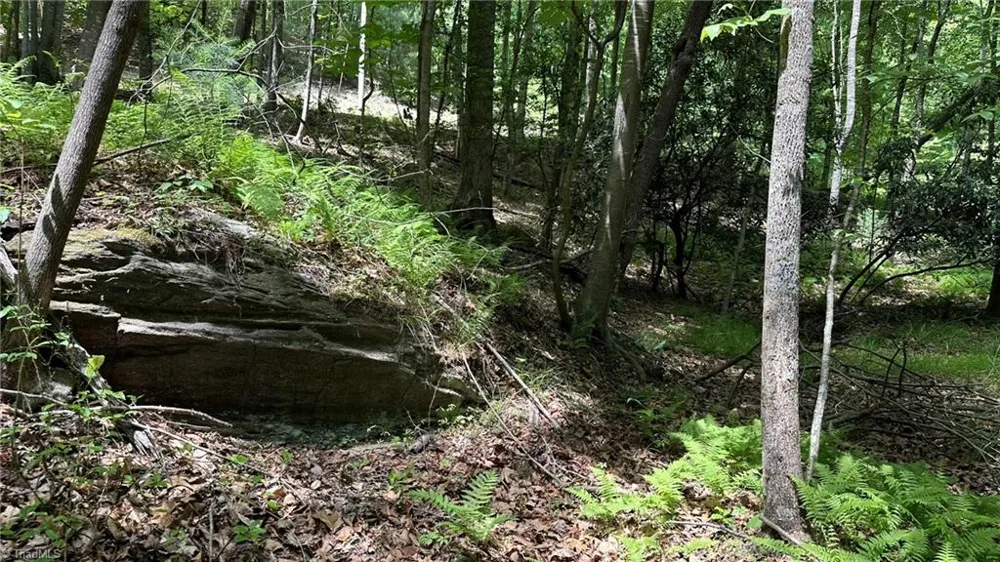 000 Idlewild Drive Hays, NC 28635