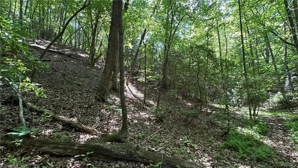 000 Idlewild Drive Hays, NC 28635