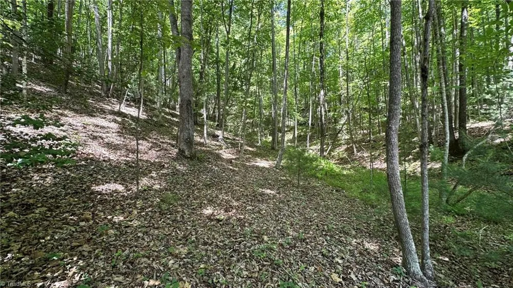 000 Idlewild Drive Hays, NC 28635