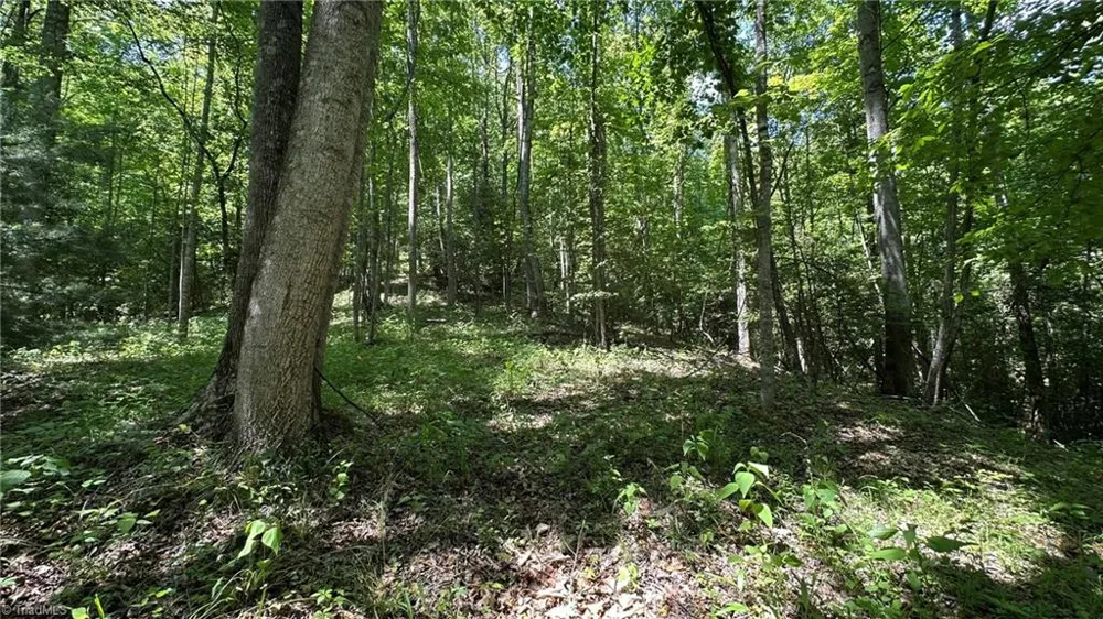 000 Idlewild Drive Hays, NC 28635