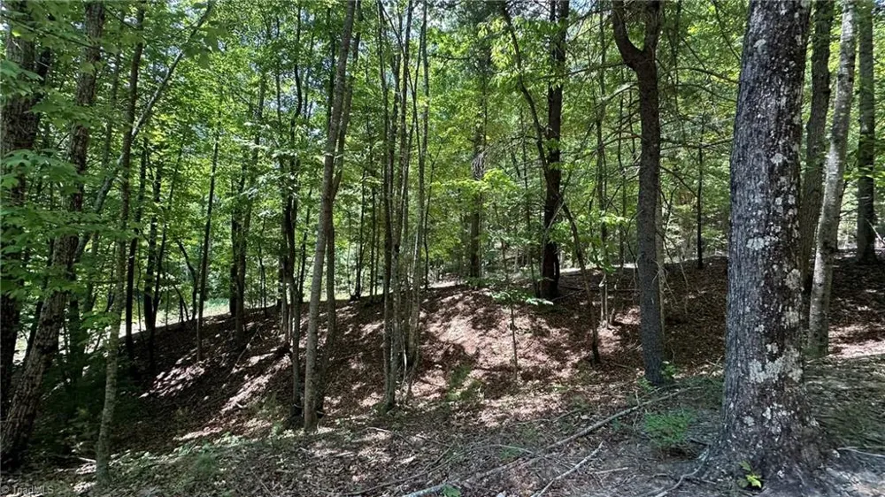 000 Idlewild Drive Hays, NC 28635