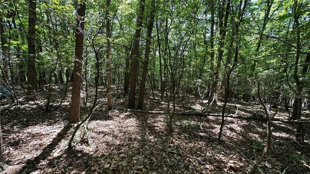 000 Idlewild Drive Hays, NC 28635