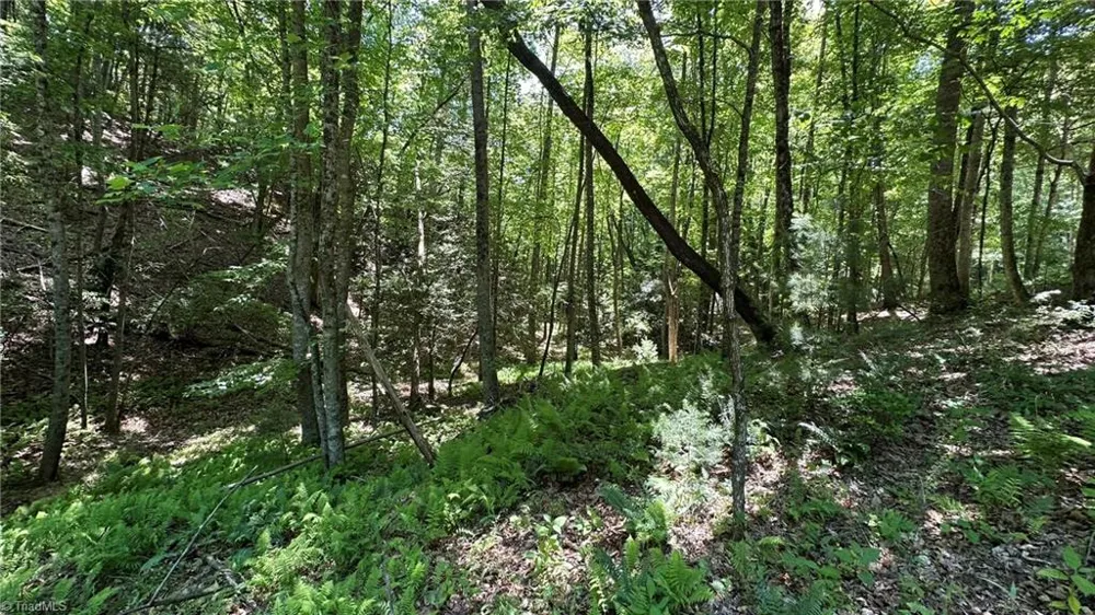 000 Idlewild Drive Hays, NC 28635