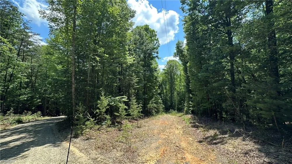000 Idlewild Drive Hays, NC 28635