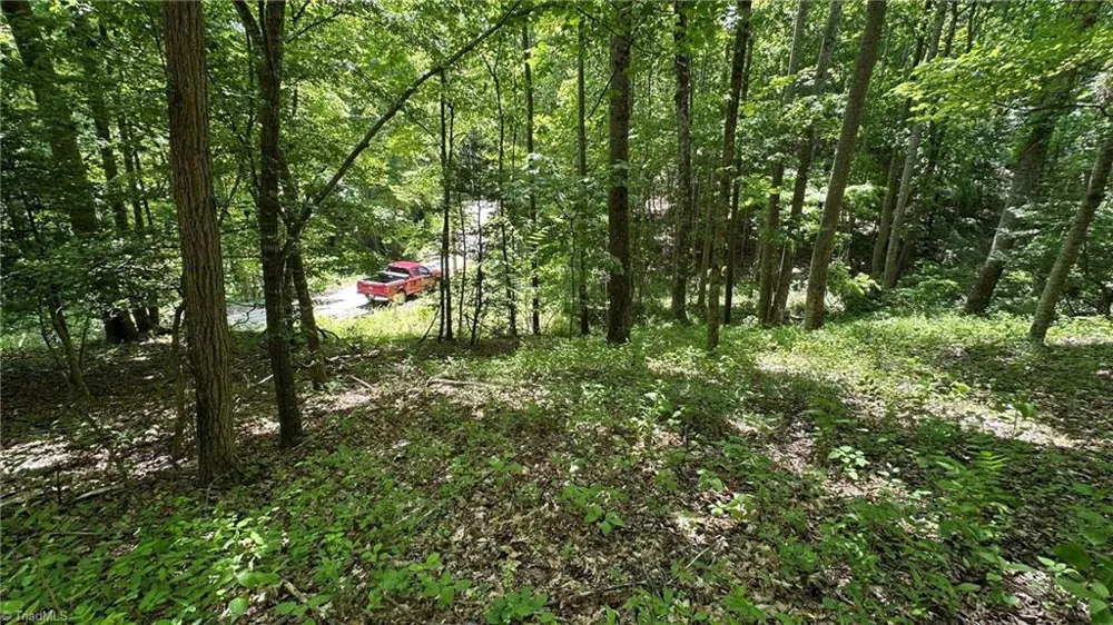 000 Idlewild Drive Hays, NC 28635