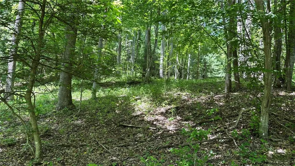 000 Idlewild Drive Hays, NC 28635