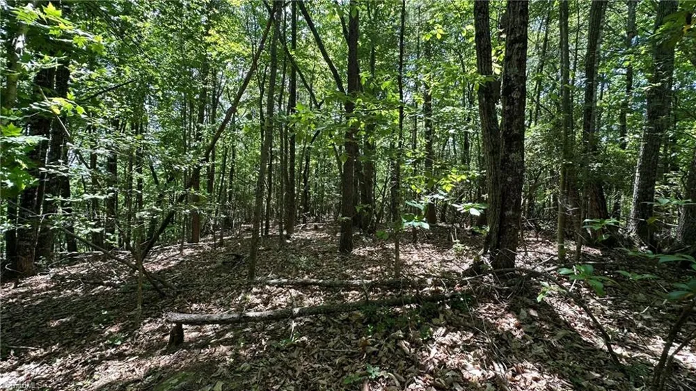 000 Idlewild Drive Hays, NC 28635