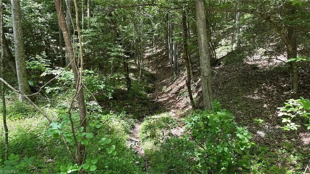 000 Idlewild Drive Hays, NC 28635