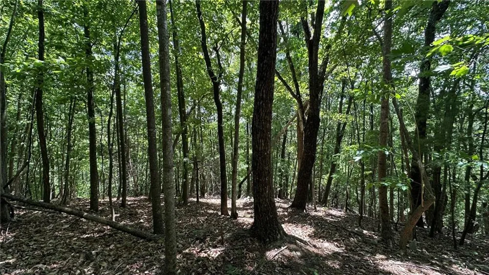 000 Idlewild Drive Hays, NC 28635