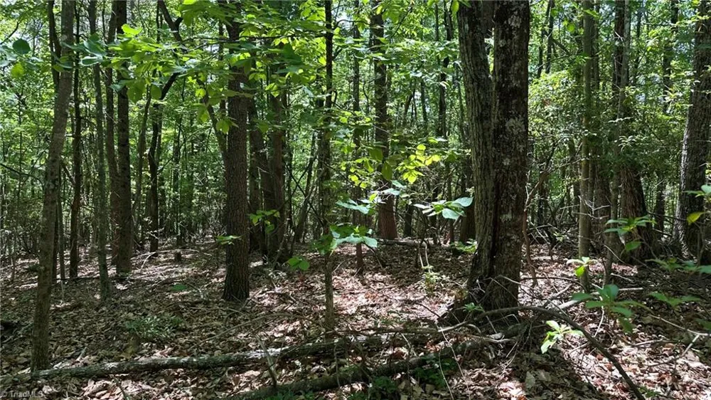 000 Idlewild Drive Hays, NC 28635