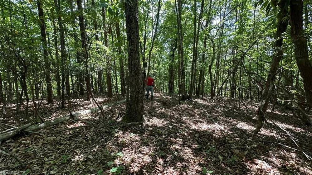 000 Idlewild Drive Hays, NC 28635