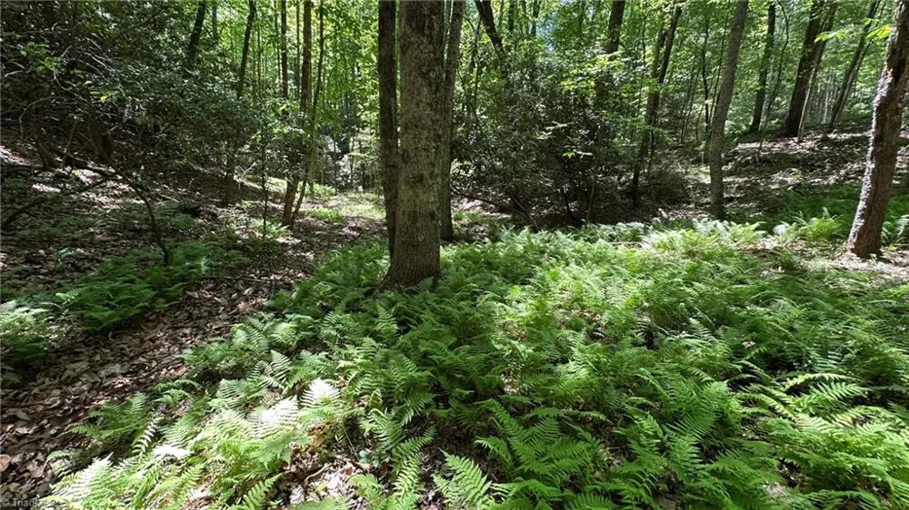 000 Idlewild Drive Hays, NC 28635