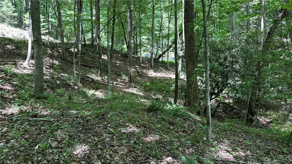 000 Idlewild Drive Hays, NC 28635