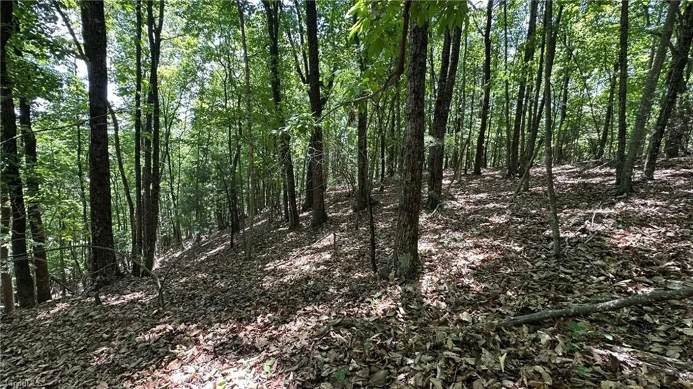000 Idlewild Drive Hays, NC 28635
