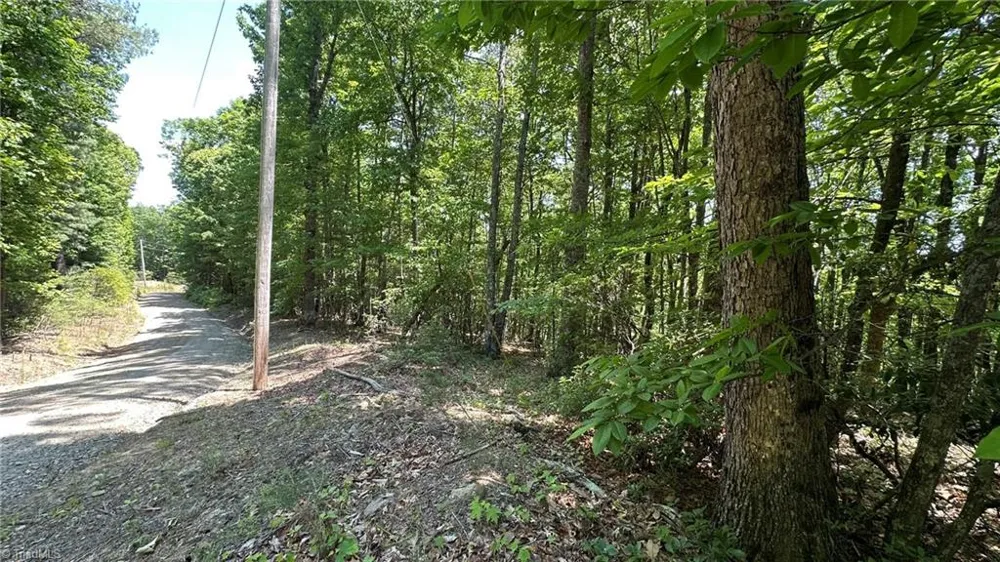 000 Idlewild Drive Hays, NC 28635