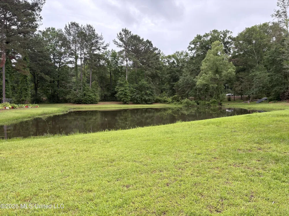 367 Highway 44 Jayess, MS 39641