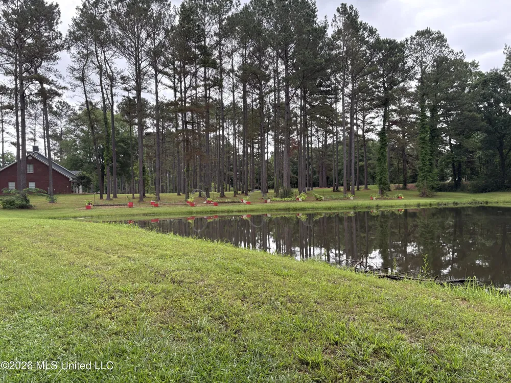 367 Highway 44 Jayess, MS 39641