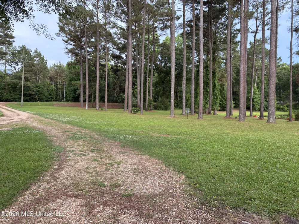 367 Highway 44 Jayess, MS 39641