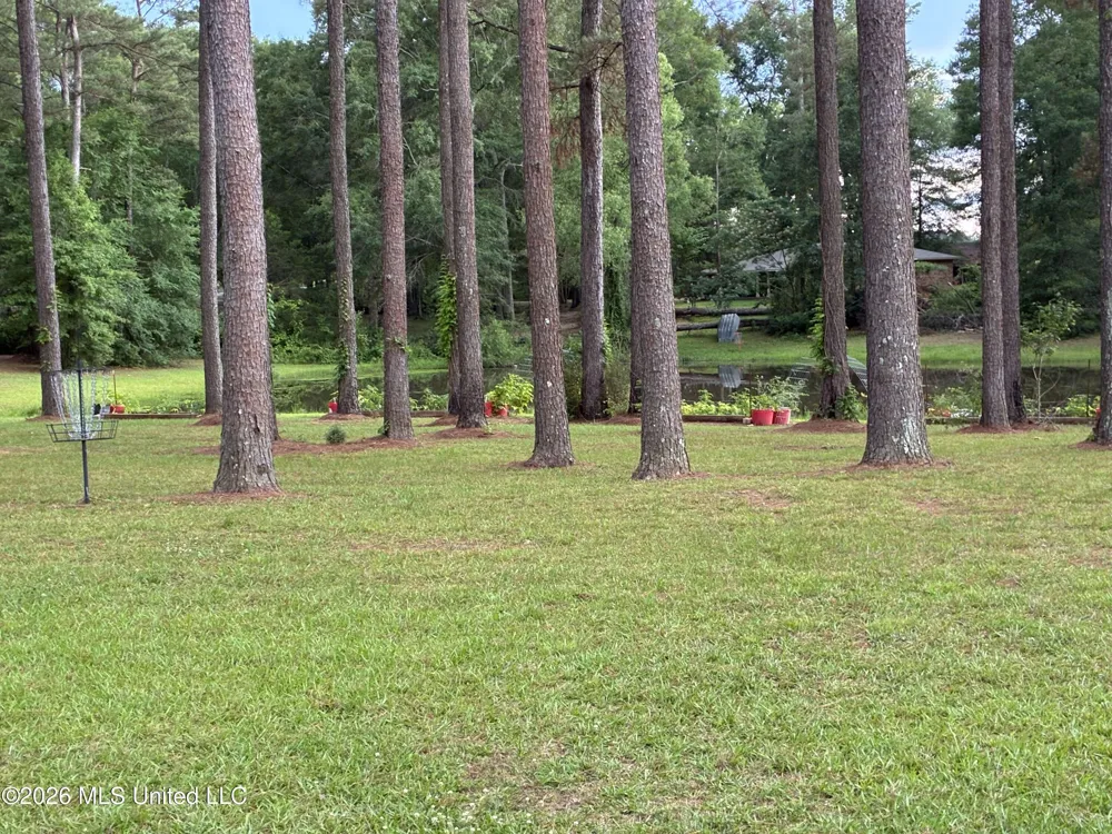 367 Highway 44 Jayess, MS 39641